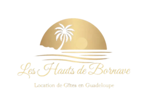design sans titre (1)