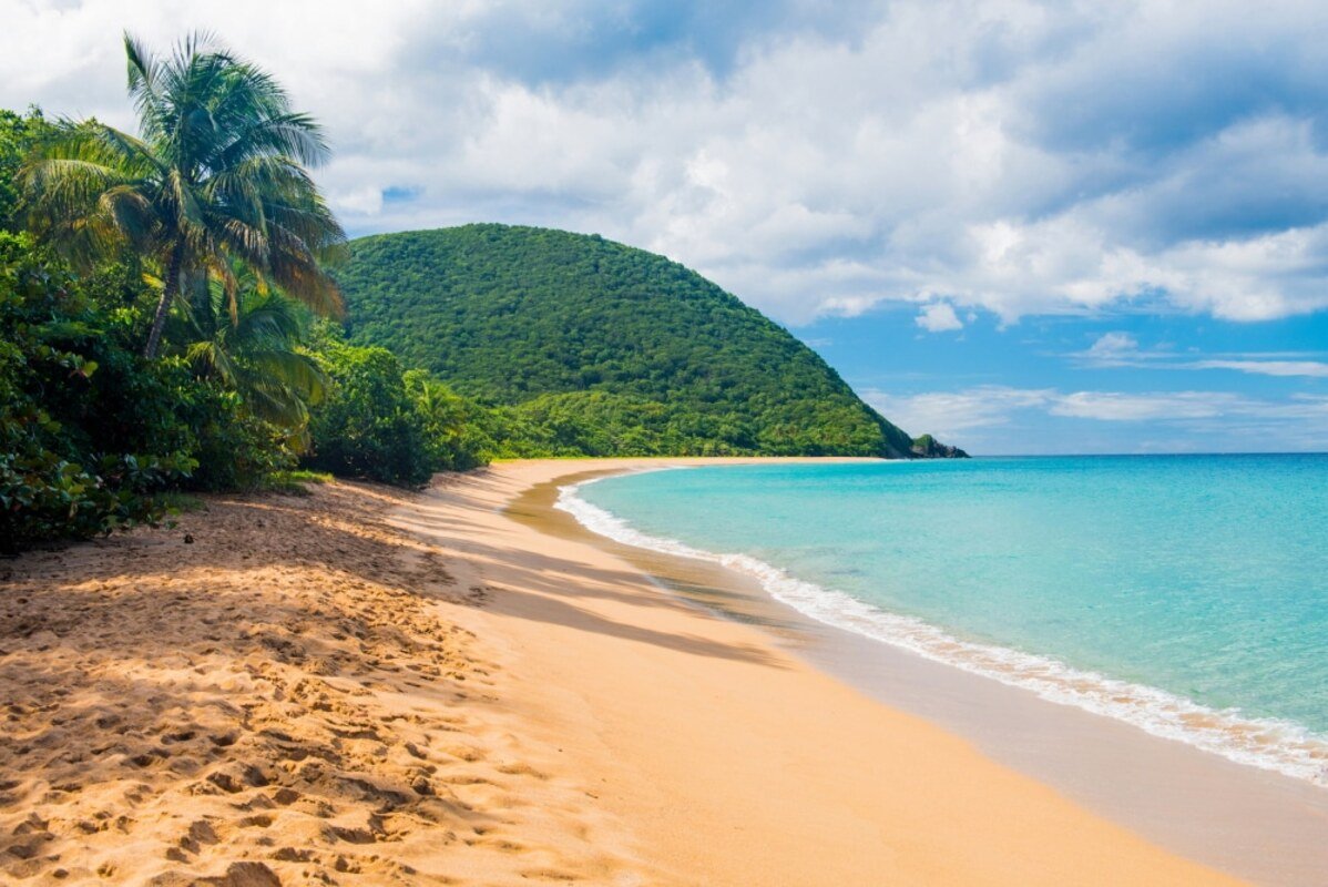 Plage de Grande Anse à Deshaies