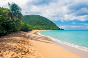 plage grande anse deshaies guadeloupe 1000 (1) plage grande anse deshaies guadeloupe 1000 (1)